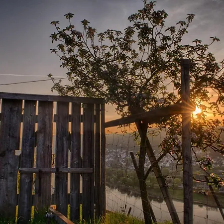Apartment Haus Am Würzlaysteig