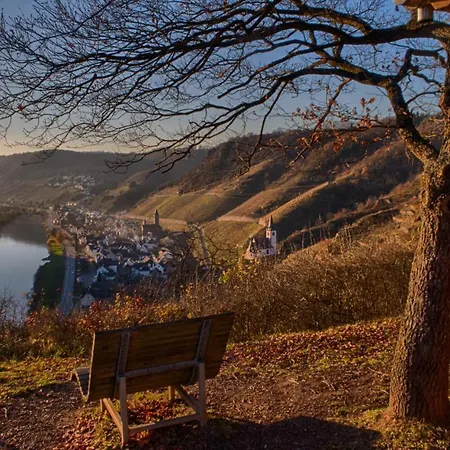 Apartment Haus Am Würzlaysteig Lehmen