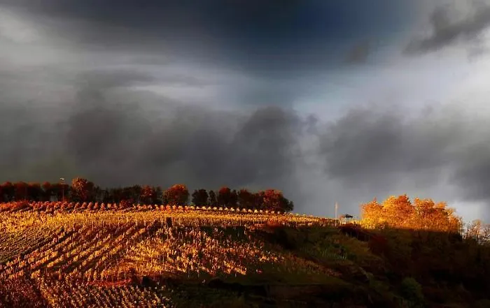 Haus Am Wuerzlaysteig * Lehmen