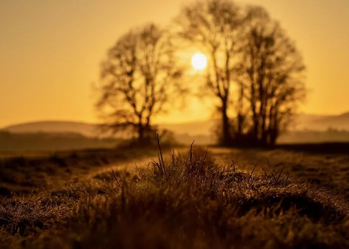 Haus Am Wuerzlaysteig 아파트 Lehmen